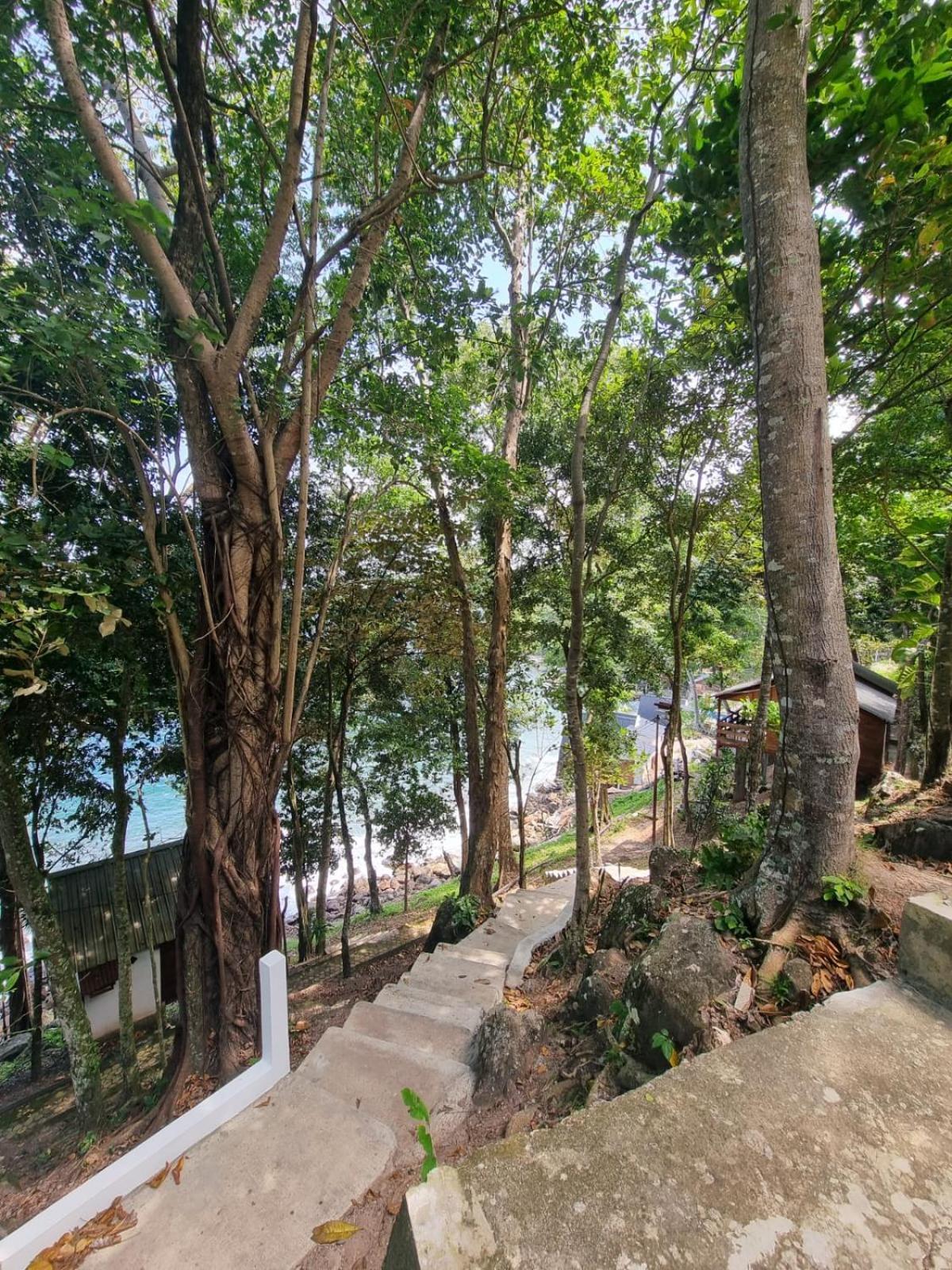 Treetop Guesthouse And Bungalows サバン エクステリア 写真