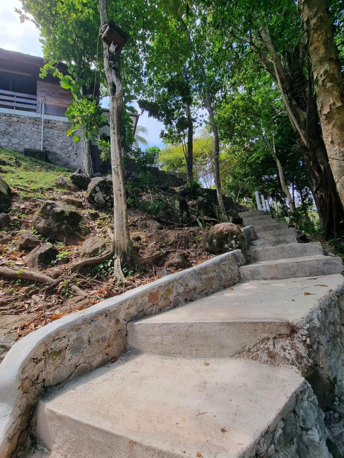 Treetop Guesthouse And Bungalows サバン エクステリア 写真